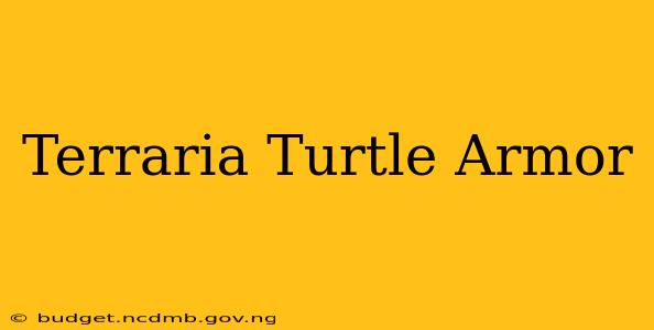 Terraria Turtle Armor