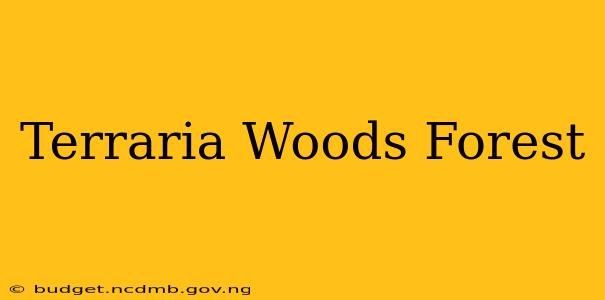 Terraria Woods Forest