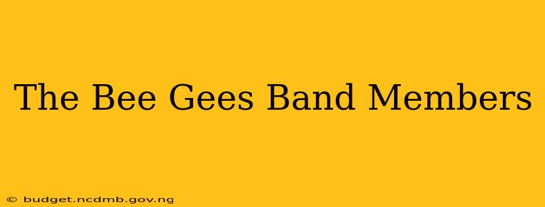 The Bee Gees Band Members