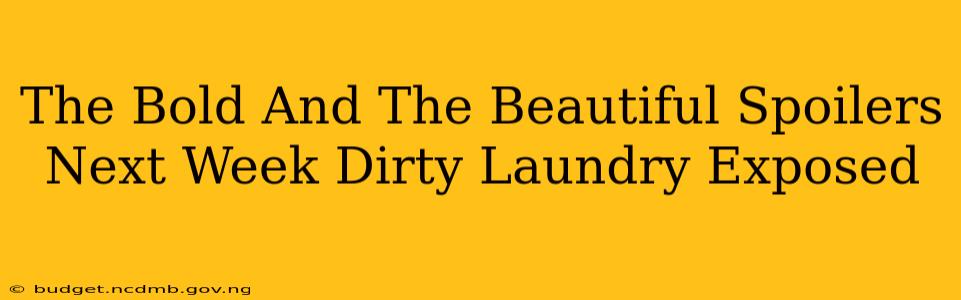 The Bold And The Beautiful Spoilers Next Week Dirty Laundry Exposed