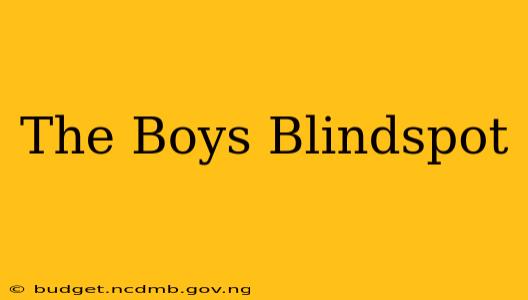 The Boys Blindspot