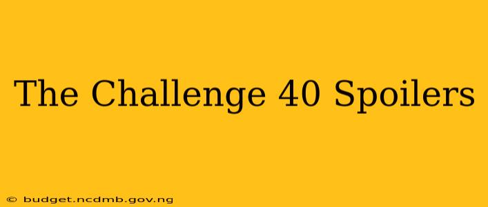 The Challenge 40 Spoilers