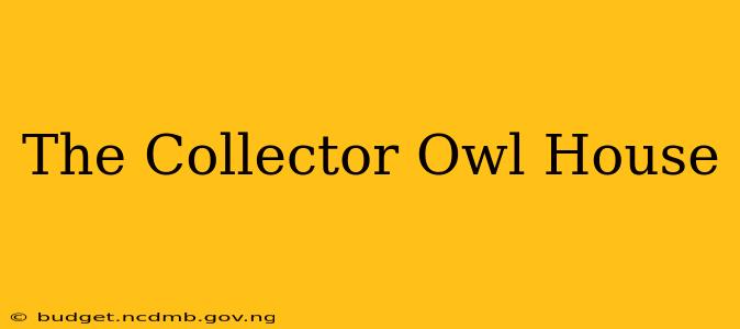 The Collector Owl House