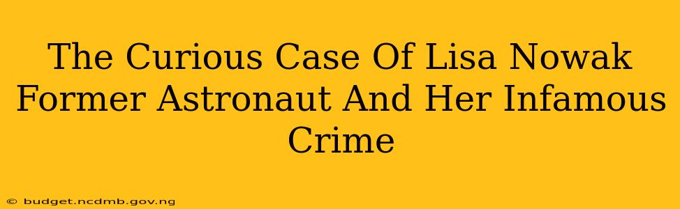 The Curious Case Of Lisa Nowak Former Astronaut And Her Infamous Crime