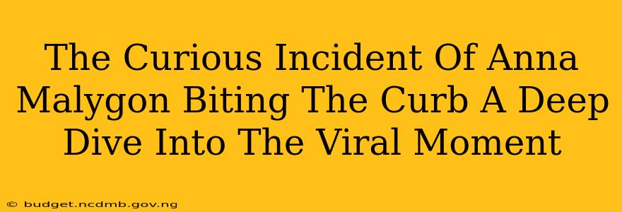 The Curious Incident Of Anna Malygon Biting The Curb A Deep Dive Into The Viral Moment