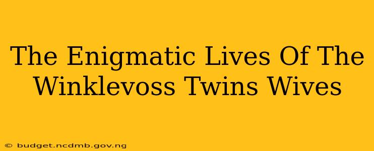The Enigmatic Lives Of The Winklevoss Twins Wives
