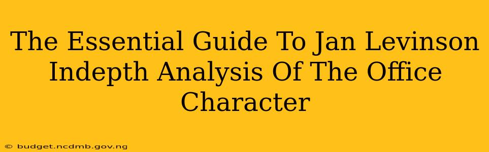 The Essential Guide To Jan Levinson Indepth Analysis Of The Office Character
