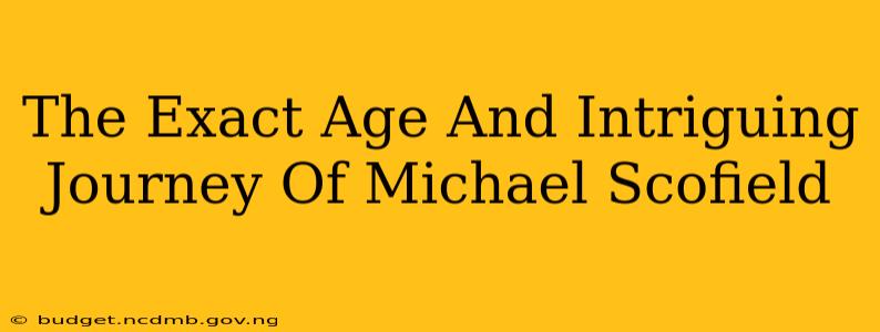 The Exact Age And Intriguing Journey Of Michael Scofield