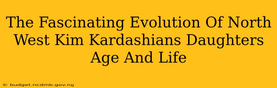 The Fascinating Evolution Of North West Kim Kardashians Daughters Age And Life