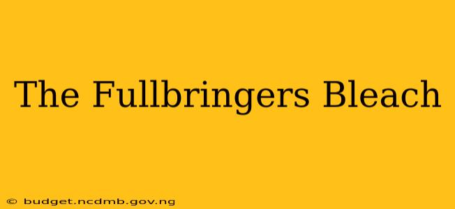 The Fullbringers Bleach