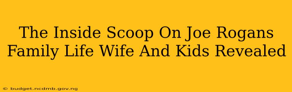 The Inside Scoop On Joe Rogans Family Life Wife And Kids Revealed
