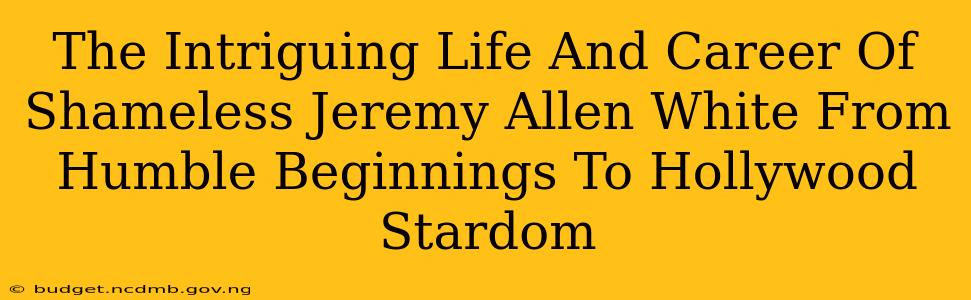 The Intriguing Life And Career Of Shameless Jeremy Allen White From Humble Beginnings To Hollywood Stardom