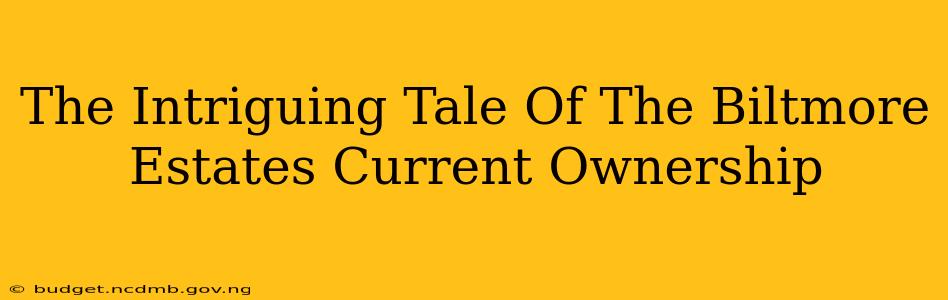 The Intriguing Tale Of The Biltmore Estates Current Ownership