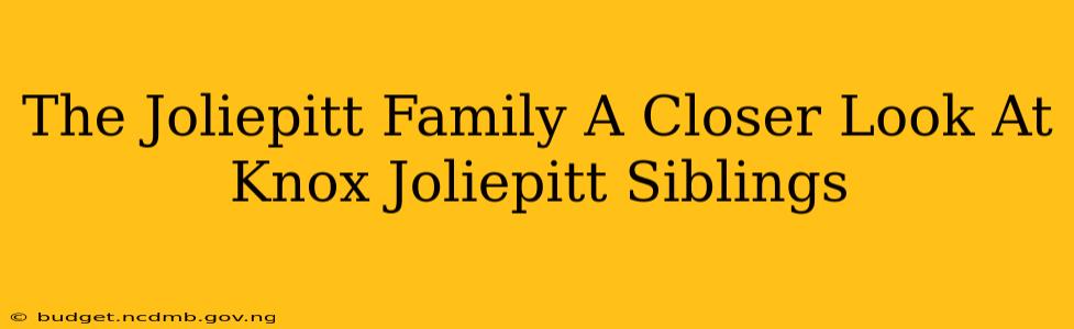 The Joliepitt Family A Closer Look At Knox Joliepitt Siblings