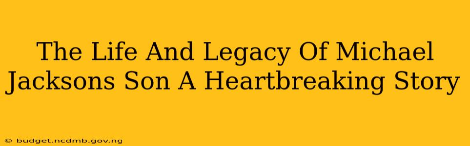 The Life And Legacy Of Michael Jacksons Son A Heartbreaking Story