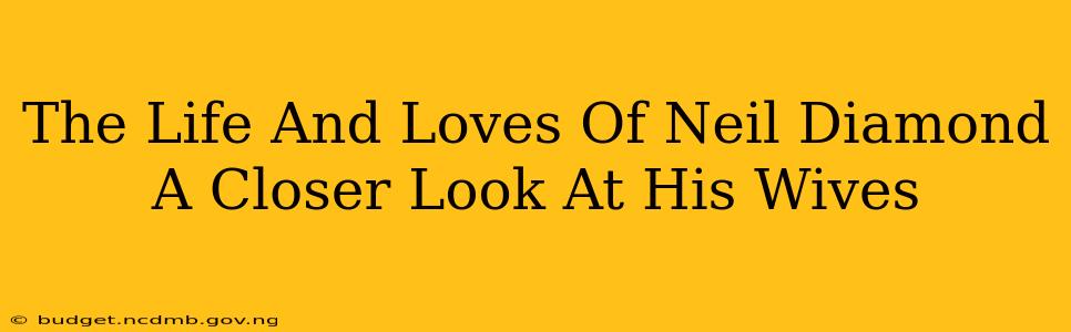The Life And Loves Of Neil Diamond A Closer Look At His Wives