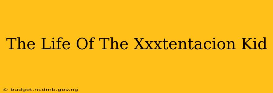 The Life Of The Xxxtentacion Kid