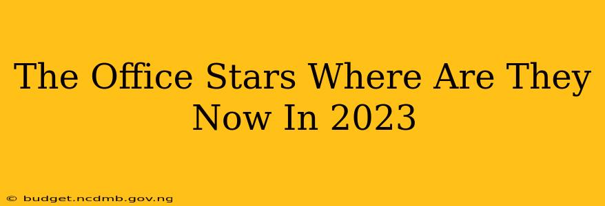 The Office Stars Where Are They Now In 2023