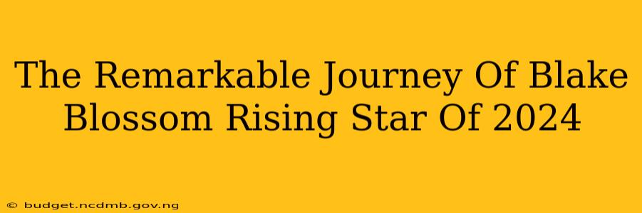 The Remarkable Journey Of Blake Blossom Rising Star Of 2024