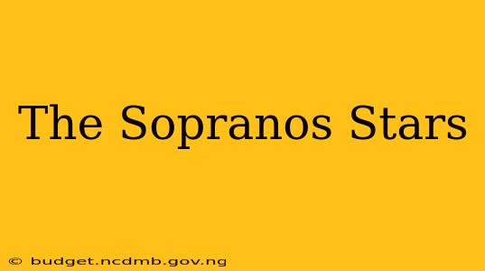 The Sopranos Stars