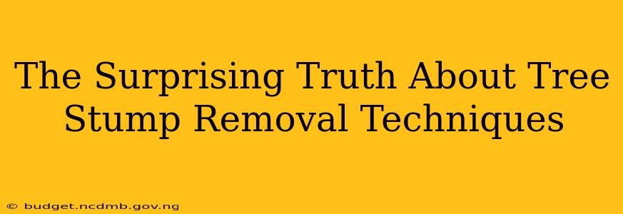 The Surprising Truth About Tree Stump Removal Techniques