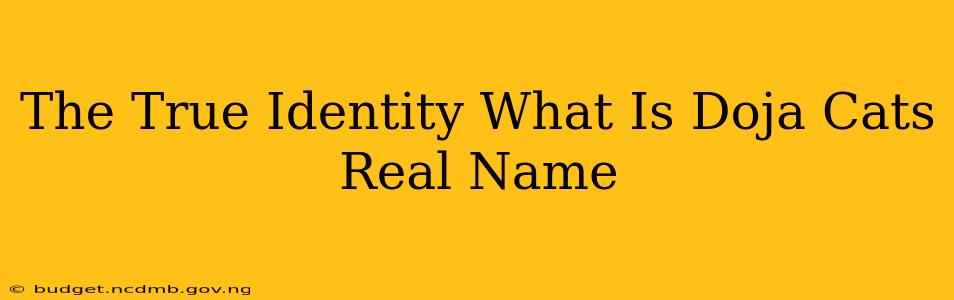 The True Identity What Is Doja Cats Real Name