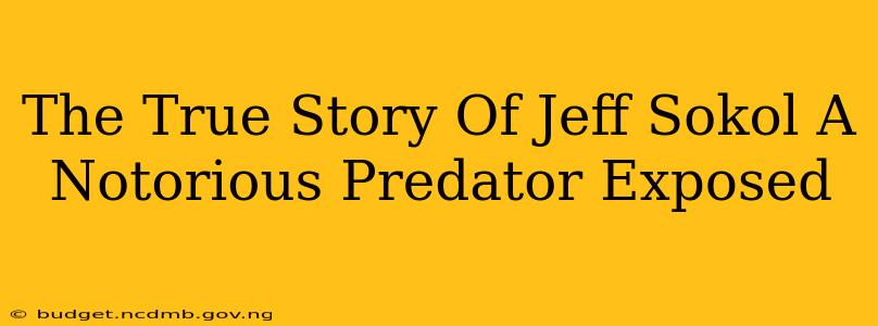 The True Story Of Jeff Sokol A Notorious Predator Exposed