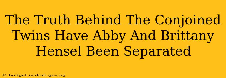 The Truth Behind The Conjoined Twins Have Abby And Brittany Hensel Been Separated