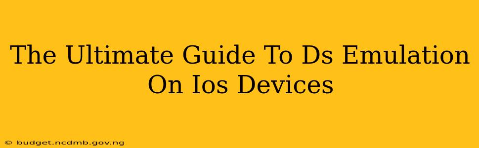 The Ultimate Guide To Ds Emulation On Ios Devices