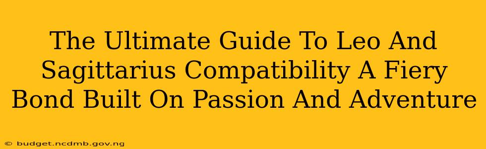 The Ultimate Guide To Leo And Sagittarius Compatibility A Fiery Bond Built On Passion And Adventure