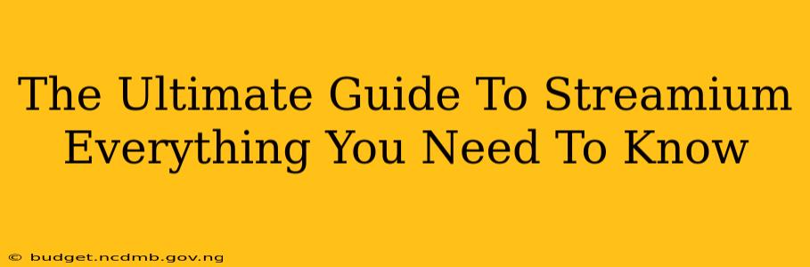 The Ultimate Guide To Streamium Everything You Need To Know