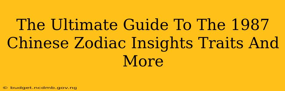 The Ultimate Guide To The 1987 Chinese Zodiac Insights Traits And More