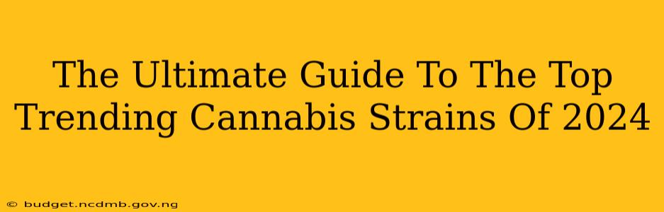 The Ultimate Guide To The Top Trending Cannabis Strains Of 2024