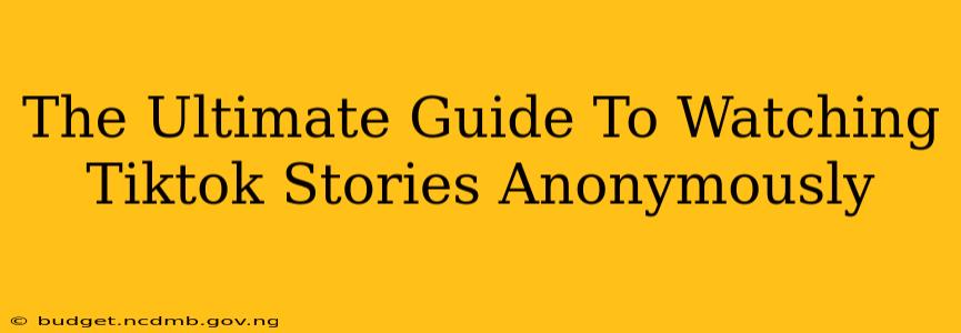 The Ultimate Guide To Watching Tiktok Stories Anonymously