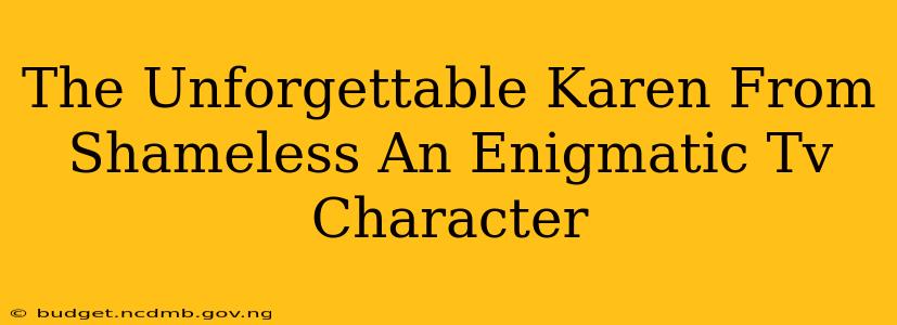 The Unforgettable Karen From Shameless An Enigmatic Tv Character