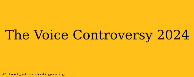 The Voice Controversy 2024