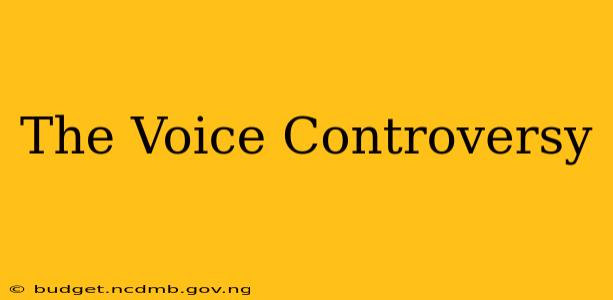 The Voice Controversy