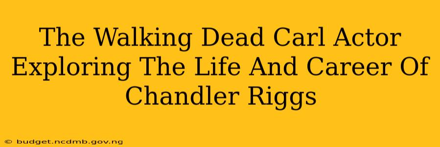 The Walking Dead Carl Actor Exploring The Life And Career Of Chandler Riggs
