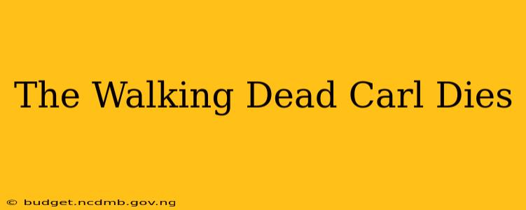 The Walking Dead Carl Dies