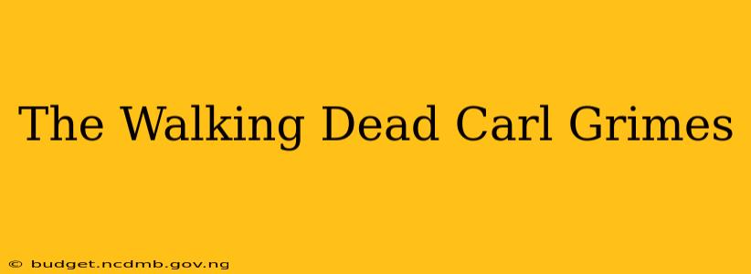 The Walking Dead Carl Grimes