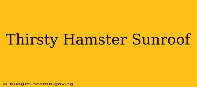 Thirsty Hamster Sunroof