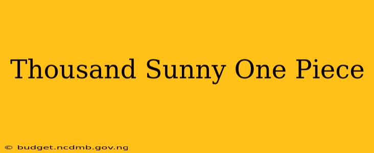 Thousand Sunny One Piece