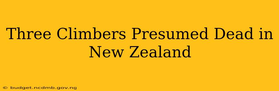 Three Climbers Presumed Dead in New Zealand