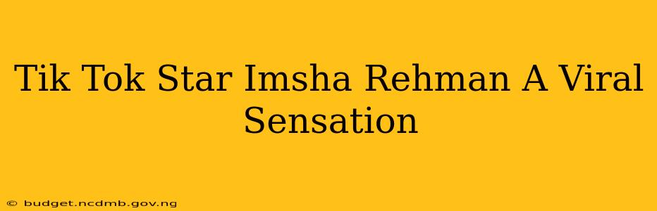 Tik Tok Star Imsha Rehman A Viral Sensation