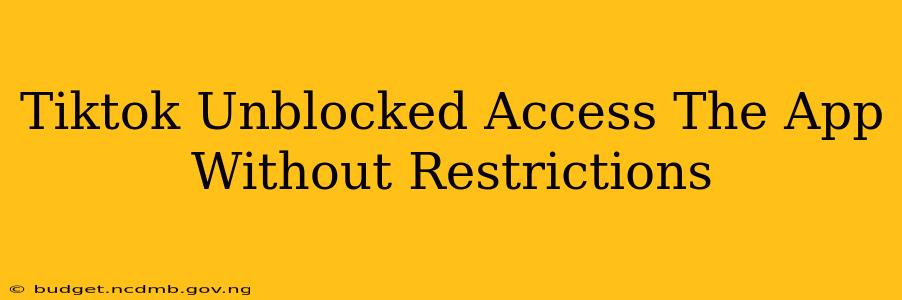 Tiktok Unblocked Access The App Without Restrictions