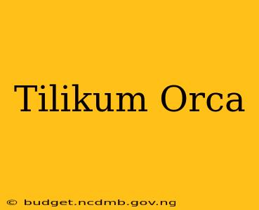 Tilikum Orca