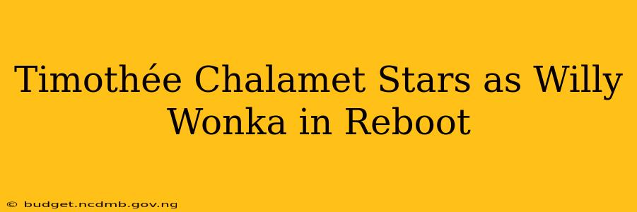 Timothée Chalamet Stars as Willy Wonka in Reboot