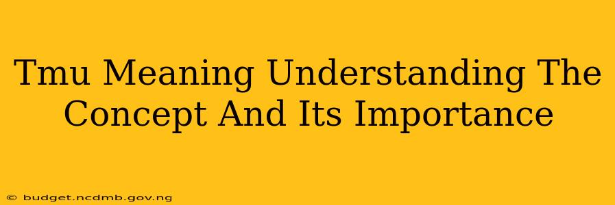 Tmu Meaning Understanding The Concept And Its Importance
