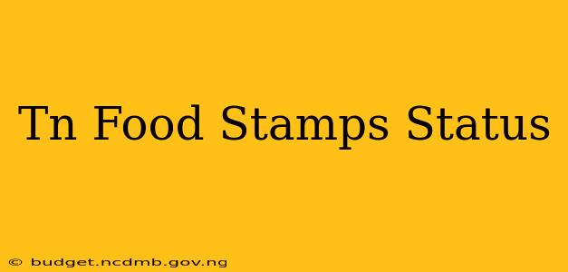 Tn Food Stamps Status