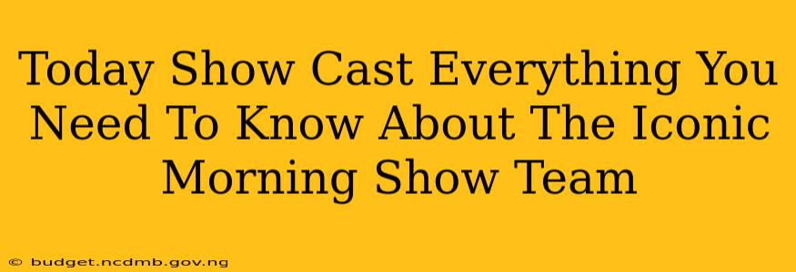 Today Show Cast Everything You Need To Know About The Iconic Morning Show Team